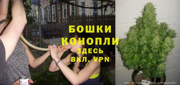 ALPHA PVP Алексеевка