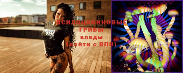 бошки Алексин