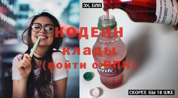 сатива Няндома